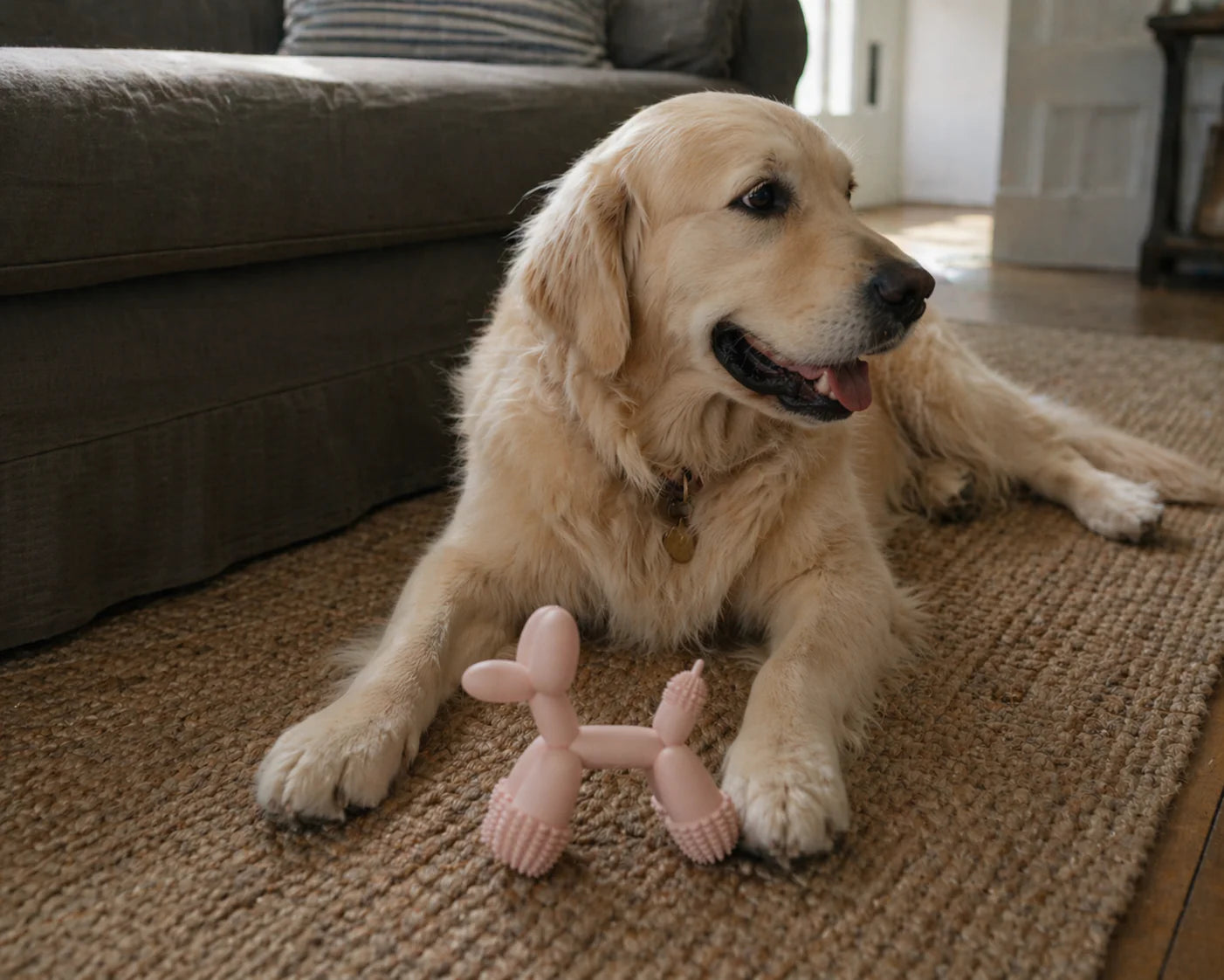 Play Toy