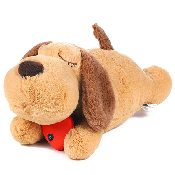 Pet Toys